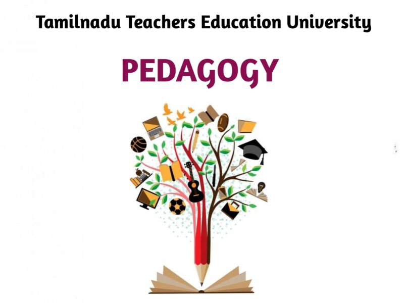 PEDAGOGY 2